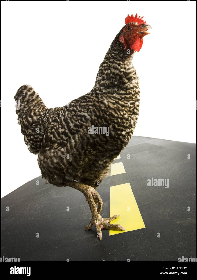 Best chicken road oficial in Spain