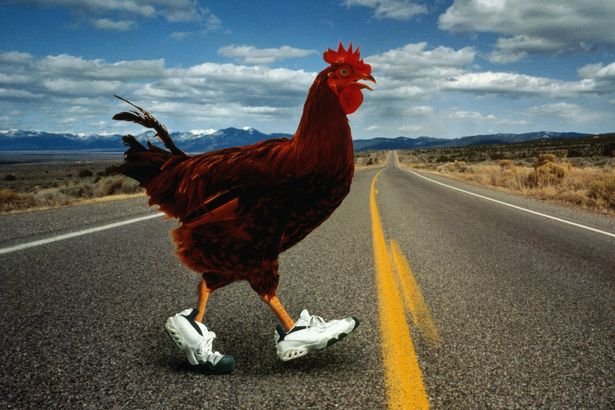 Chicken road demo - Découvrez le Jeu de Casino En Ligne Chicken Road en France