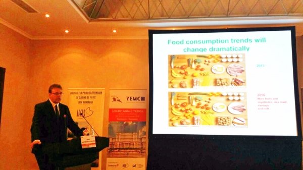 Image: Beef Casino Erfahrungen - Echte Spielautomaten und Tische in Deutschland