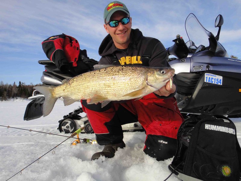 Experience the Thrill of Ice Fishing Live Casino Games in the UK in United Kigdom
